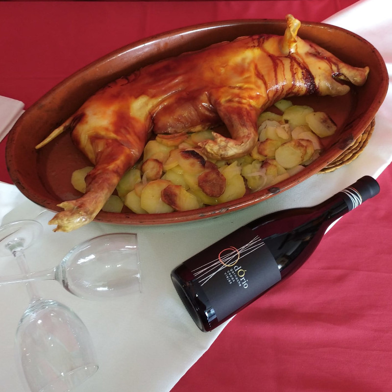 cochinillo
